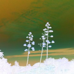 SpaceSheep feat Suzanne Belaubre - Dernière Dune