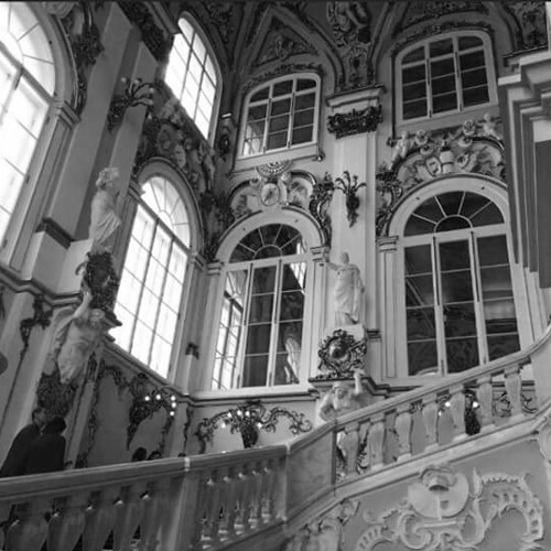 shaw x maly elvis x mlodyskiny - nie wiecie