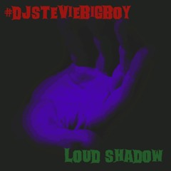 Loud Shadow