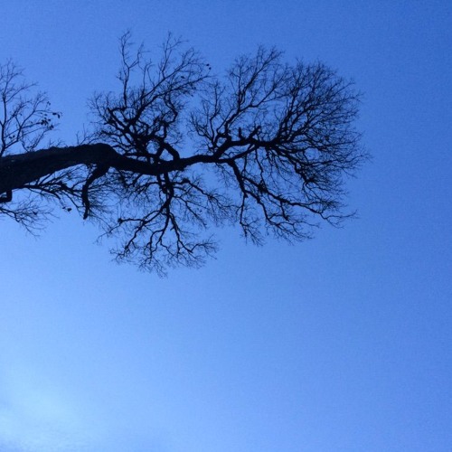 ยังมี Demo