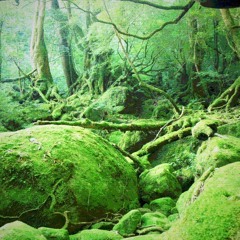 ONOMATOPEJA STRZAŁU - GAJ