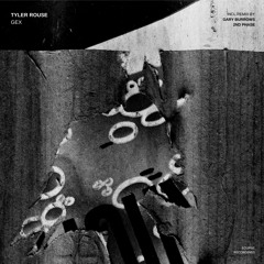 Tyler Rouse - Freakling (2nd Phase Remix)