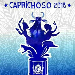 Boi Caprichoso 2018, Sabedoria Popular, uma Revolução Ancestral