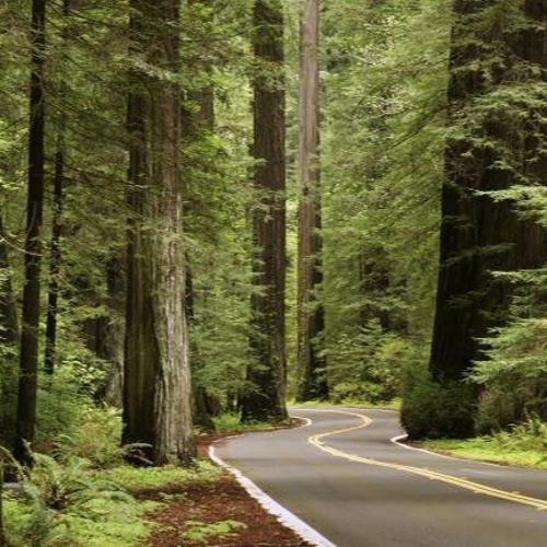 Bruiser Å Felix - Slow - Produced by OrangeKind