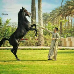 مهرجان فرحة الهرم.mp3