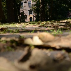 Don't Go Too Far (Two Stamps And Counting)