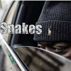 Snakes x quay1k