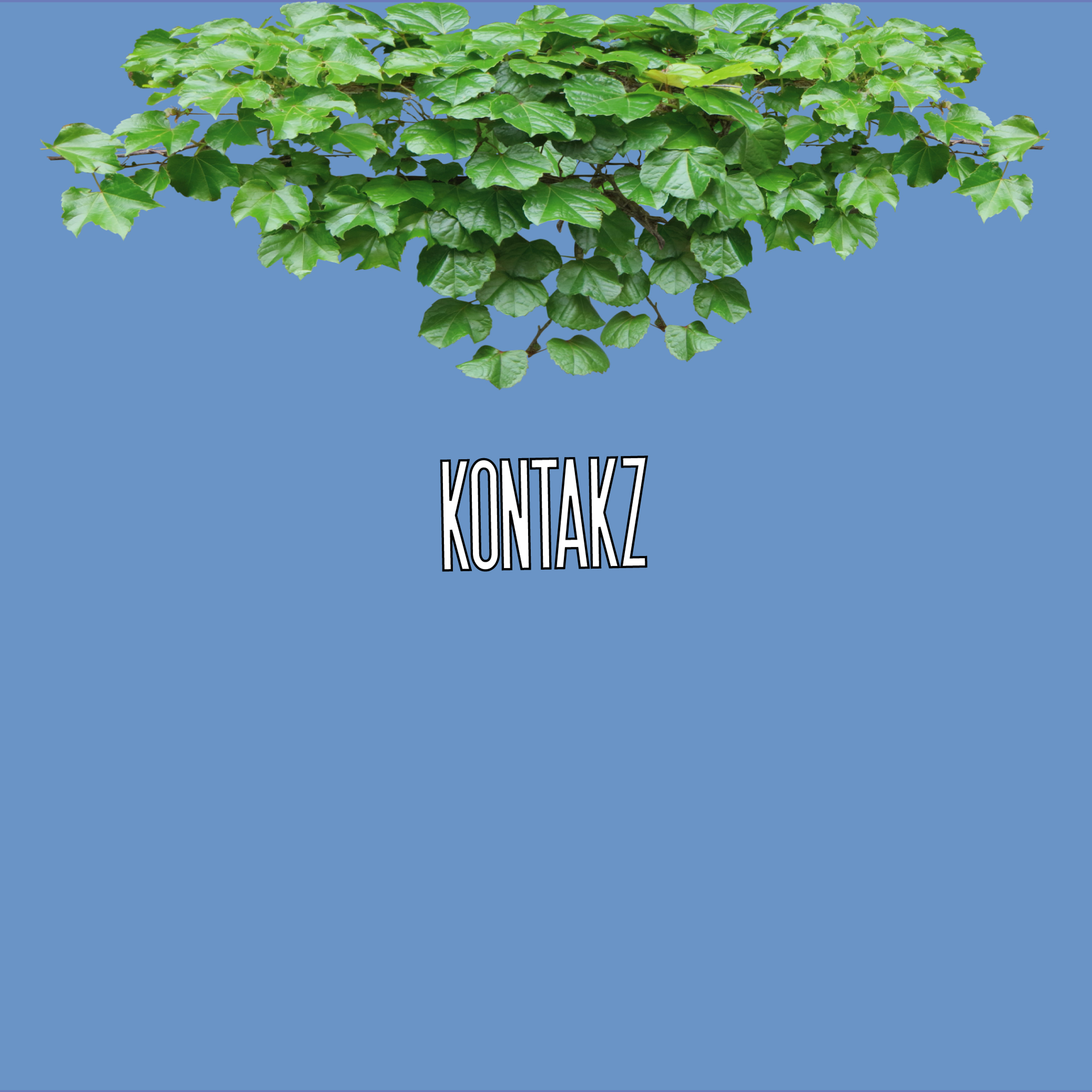 Kontakz