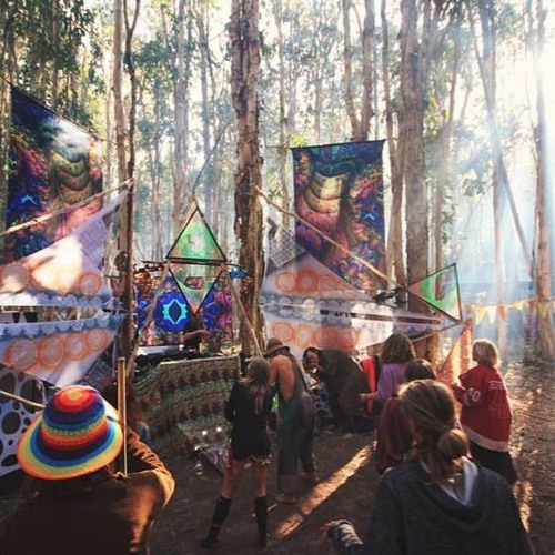 Serenity Now set (Bush prog)