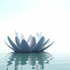 بوابات حب الذات _ القبول