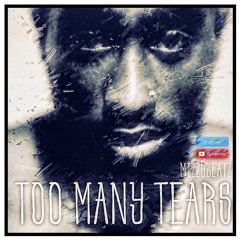 Too Many Tears Prod By MizzyBeatz