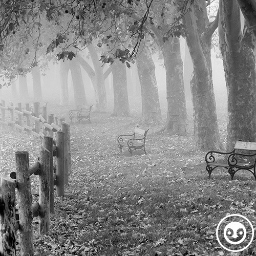 deep story nr. 74 | magischer Herbst | By 2Gemeinsam