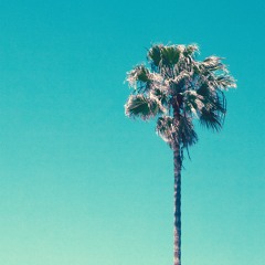 The Soft Rider "Words"