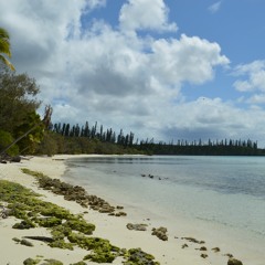 LIVE @ L'Endroit - Baie Des Citrons - New Caledonia