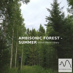 Ambisonic Forest Summer - Sound Library Preview