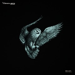 CBR045 // DIGVIJAY - Constant Damage (Original Mix)