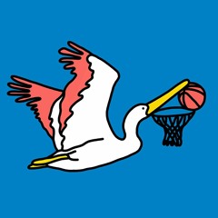 pelican