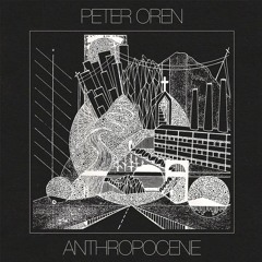 Peter Oren - "Falling Water"