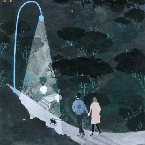 The SHOM - Night Out