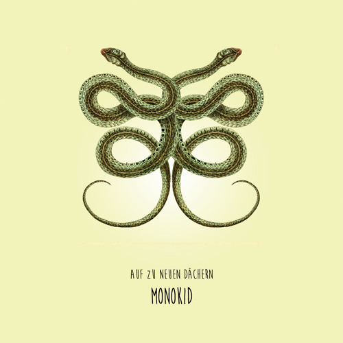 Auf zu Neuen Dächern mit: Monokid