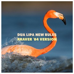Dua Lipa - New Rules (Kraver's '84 Version)
