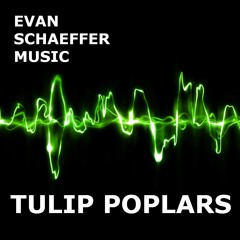 TULIP POPLARS (Electronic Pop | Future Pop) (also at Spotify and iTunes)