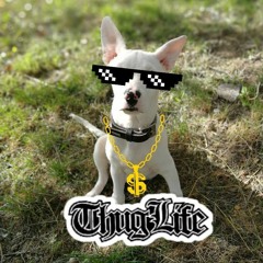 Bad Boy PITCH MADATTAK (RAGGATEK)