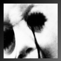 You can download if you want but I wouldnt, this beat is probably the corniest thing Ive ever made