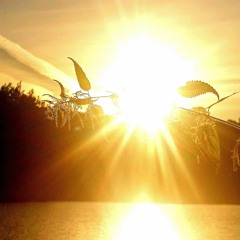 Psychedelic in the Sunrise (Promo-set)