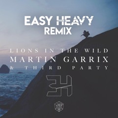 Martin Garrix - Lions In The Wild (LAUR Remix)
