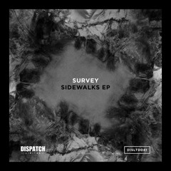 PREMIERE: Survey - Push Over (Dispatch Recordings)