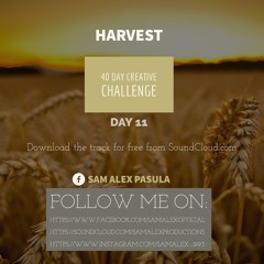 Day 11 - Harvest