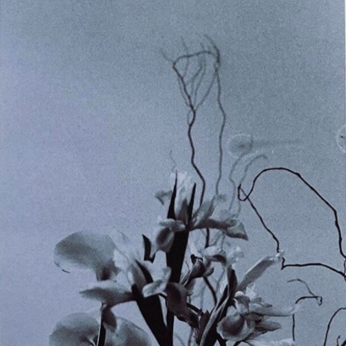 Smö