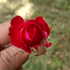 Blake Neely - Kiss Interrupted