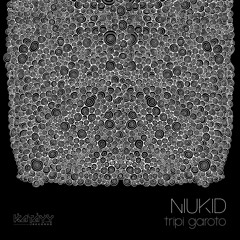 Niukid - Tripi Garoto EP - Katayy Records