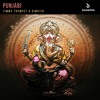 Timmy Trumpet And Dimatik Punjabi Out Now Mp3