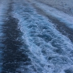 Leave - Leon Gall (Cover)