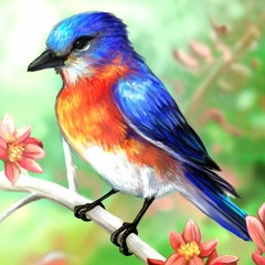 Kao ptica na mom dlanu(solo piano ) -  Igor Jesensky