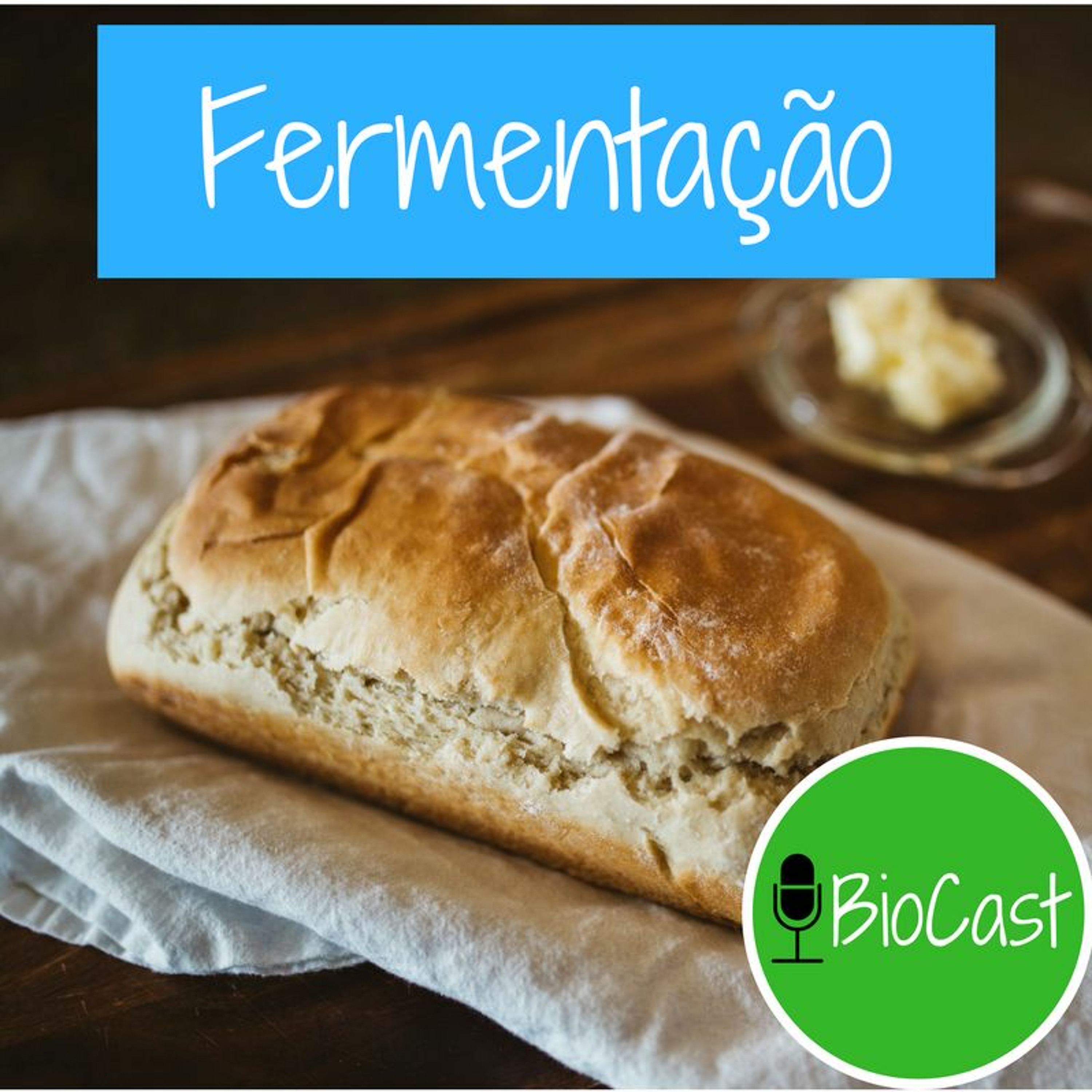 BioCast - Fermentação e o Pão Nosso de Cada Dia