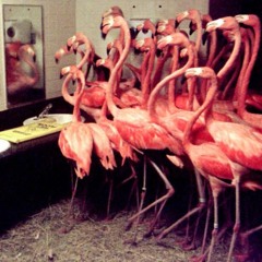 1000x (original mix)