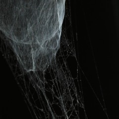 LUNALIA 06.09.17 - Fabien - Gaston Rimbaud - Maja Jantar