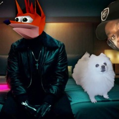 Memes - Starboy | Crash Bandicoot, Gabe the Dog, Big Ben & Roadman Shaq