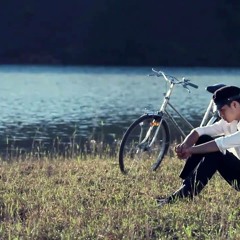 Tình Yêu Hoa Gió - Trương Thế Vinh