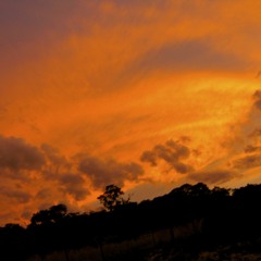 Sun Color