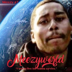 Meezy #7 - Rubbin off the paint remix