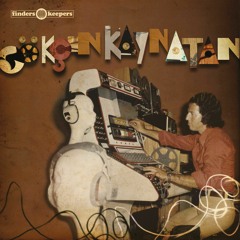Gökçen Kaynatan - Doğanın Ötesi