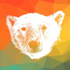 Funk, Soul and Disco I - Live DJ Mix (Polar Bears Can Dance)