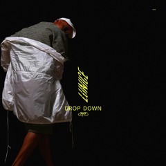 Drop Down ft Le1f