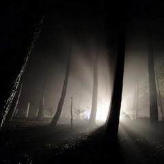 Dark Creaminess Sessions #1