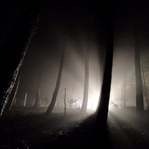 Dark Creaminess Sessions #1